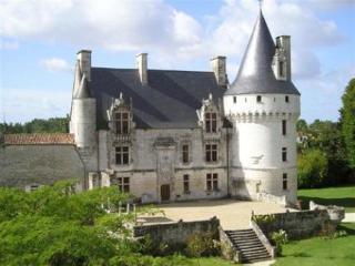 Chateau De Crazannes Ngoại thất bức ảnh