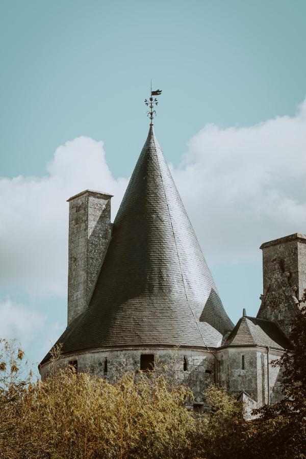 Chateau De Crazannes Ngoại thất bức ảnh